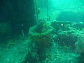Wallaroo Scuba Club - Accommodation Georgetown 0