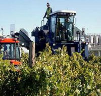 Ballast Stone Estate Wines Pty Ltd - Accommodation Georgetown