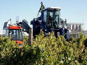 Ballast Stone Estate Wines Pty Ltd - Accommodation Georgetown 0
