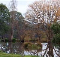 Gemtree Wetlands Ecotrail - Accommodation Georgetown