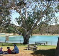 Naracoorte Nature Park and Swimming Lake - Accommodation Georgetown