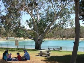 Naracoorte Nature Park And Swimming Lake - Accommodation Georgetown 0