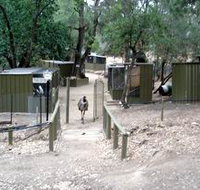 Humbug Scrub Wildlife Sanctuary - Accommodation Georgetown