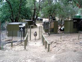 Humbug Scrub Wildlife Sanctuary - Accommodation Georgetown 0