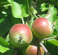 Sage Cooking School - Accommodation Georgetown