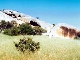 Ucontitchie Hill - Accommodation Georgetown 0