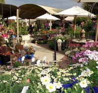 Serenity Nursery - Accommodation Georgetown