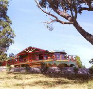 Barringwood Park Vineyard - Accommodation Georgetown