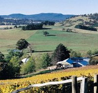 Freycinet Vineyards Pty Ltd - Accommodation Georgetown