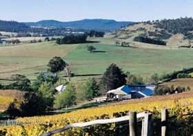 Freycinet Vineyards Pty Ltd - Accommodation Georgetown 0