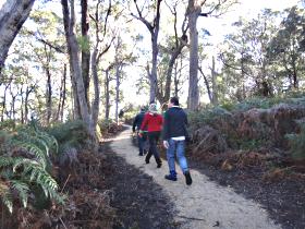 Bridport Walking Track - Accommodation Georgetown 0
