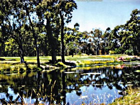 Smithton Country Club - Accommodation Georgetown 0