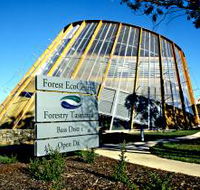 Forest EcoCentre - Accommodation Georgetown