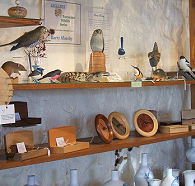 Touchwood Craft Gallery Gifts and Cafe - Accommodation Georgetown