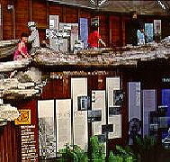 West Coast Visitor Information and Booking Centre - Accommodation Georgetown