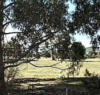 Cygnet Public Golf Course - Accommodation Georgetown