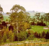 The Tasmanian Arboretum - Accommodation Georgetown