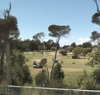 Greens Beach Golf Course - Accommodation Georgetown
