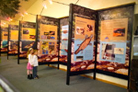 Platypus Experience - Accommodation Georgetown 0