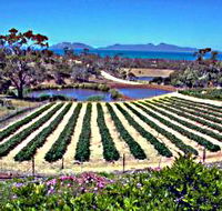 Kate's Berry Farm - Accommodation Georgetown