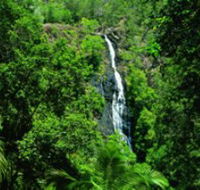 Kondalilla National Park - Accommodation Georgetown