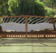 Tasmanian Bushland Garden - Accommodation Georgetown