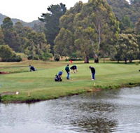 Penguin Golf Course - Accommodation Georgetown