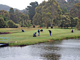 Penguin Golf Course - Accommodation Georgetown 0