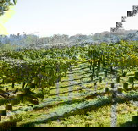 Surveyor's Hill Vineyards - Accommodation Georgetown