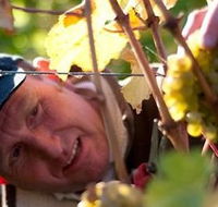 Puddleduck Vineyard - Accommodation Georgetown