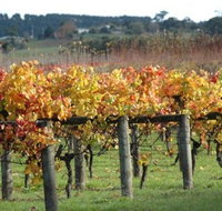 Apsley Gorge Vineyard - Accommodation Georgetown
