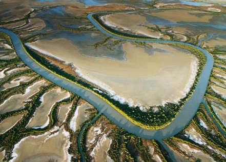 The Wilderness Gallery - Accommodation Georgetown 0