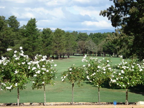RMC Golf Club - Accommodation Georgetown 0