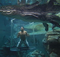 Crocosaurus Cove - Accommodation Georgetown