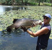 Barra Feeding - Accommodation Georgetown