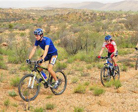 Araluen Mountain Bike Trails - Accommodation Georgetown 0