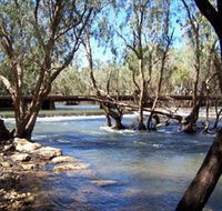Low Level Nature Reserve - Accommodation Georgetown