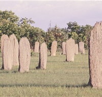 Magnetic Termite Mounds - Accommodation Georgetown