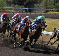 Alice Springs Turf Club - Accommodation Georgetown
