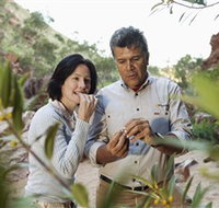 Simpsons Gap - Accommodation Georgetown