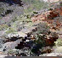 Serpentine Chalet Bush Camping Area - Accommodation Georgetown