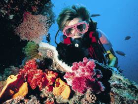 Cook Island Dive Site - Accommodation Georgetown 0