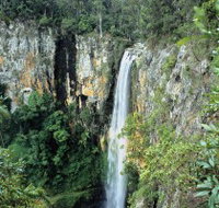 Gondwana Rainforests of Australia
