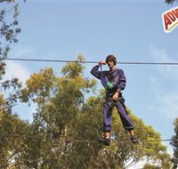 Adventure Parc at Currumbin Wildlife Sanctuary - Accommodation Georgetown