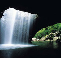 Natural Bridge Springbrook National Park