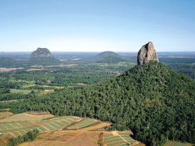 Mt Tibrogargan - Accommodation Georgetown 0