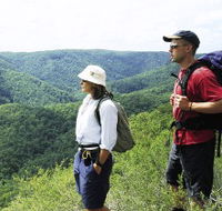 Sunshine Coast Hinterland Great Walk - Accommodation Georgetown