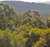 Conondale National Park - Accommodation Georgetown