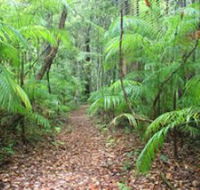 Delicia Road Conservation Park - Accommodation Georgetown