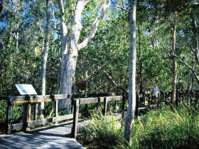Noosa Heads QLD Accommodation Georgetown